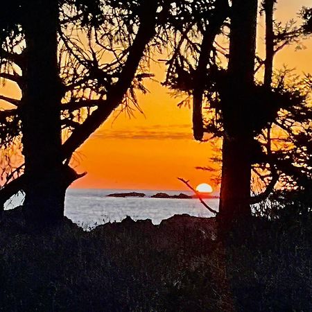 Black Rock Landing Ucluelet Buitenkant foto